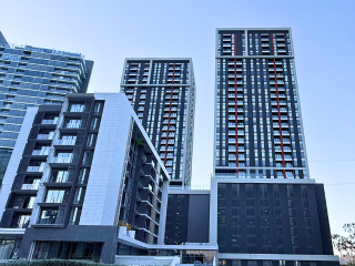 Taxonomy Featured Image